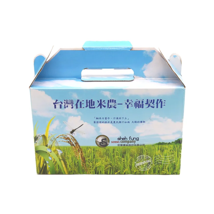 Custom Printed Sturdy Corrugated Tall Gable Paper Boxes with Handle
