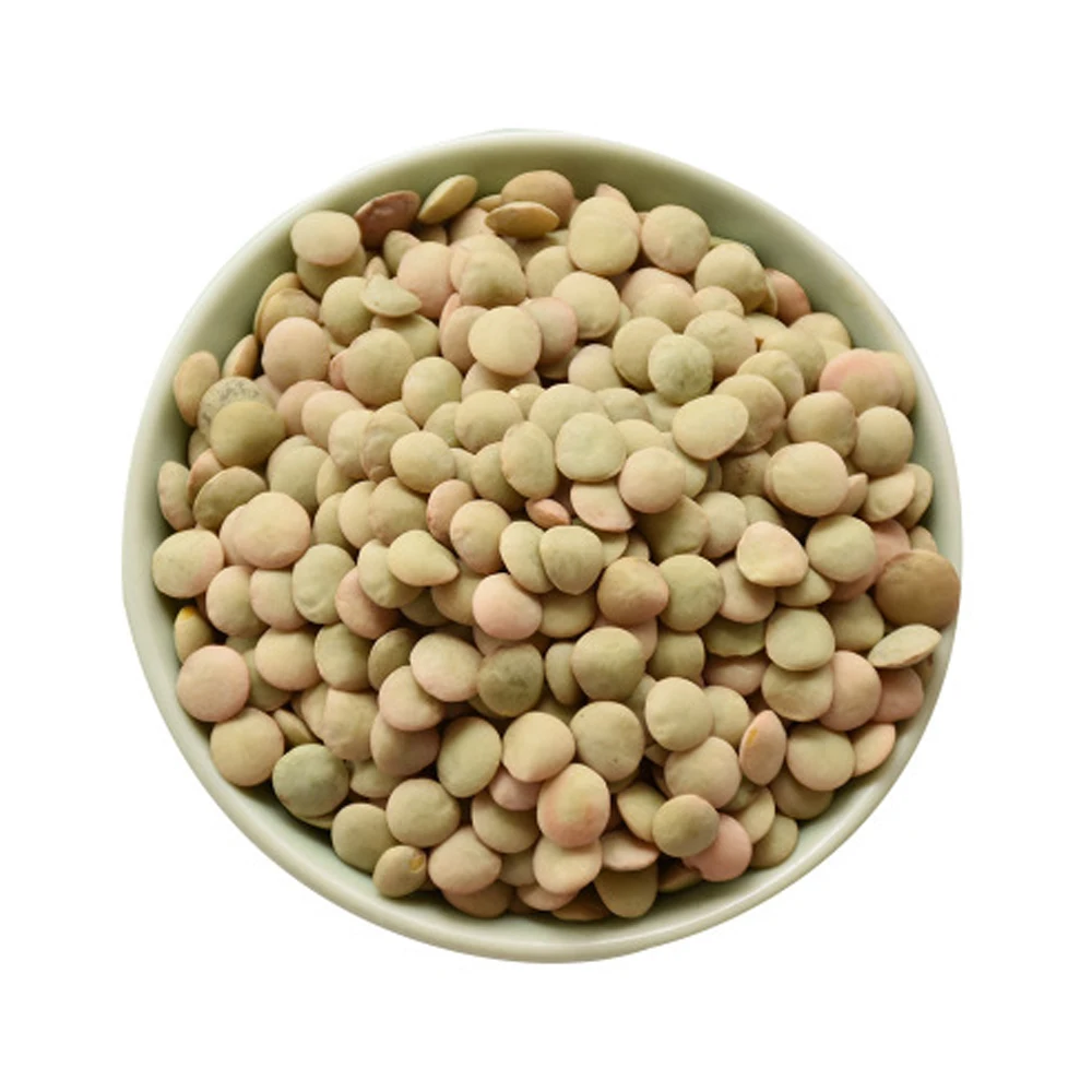 wholesale new crop good sale green lentil with best price export for food good taste