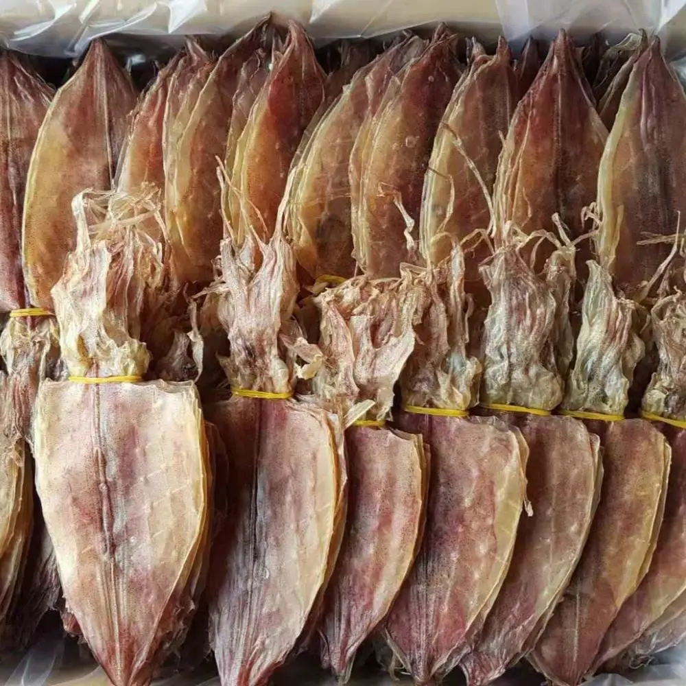 
Dried Squid / Cuttlefish 