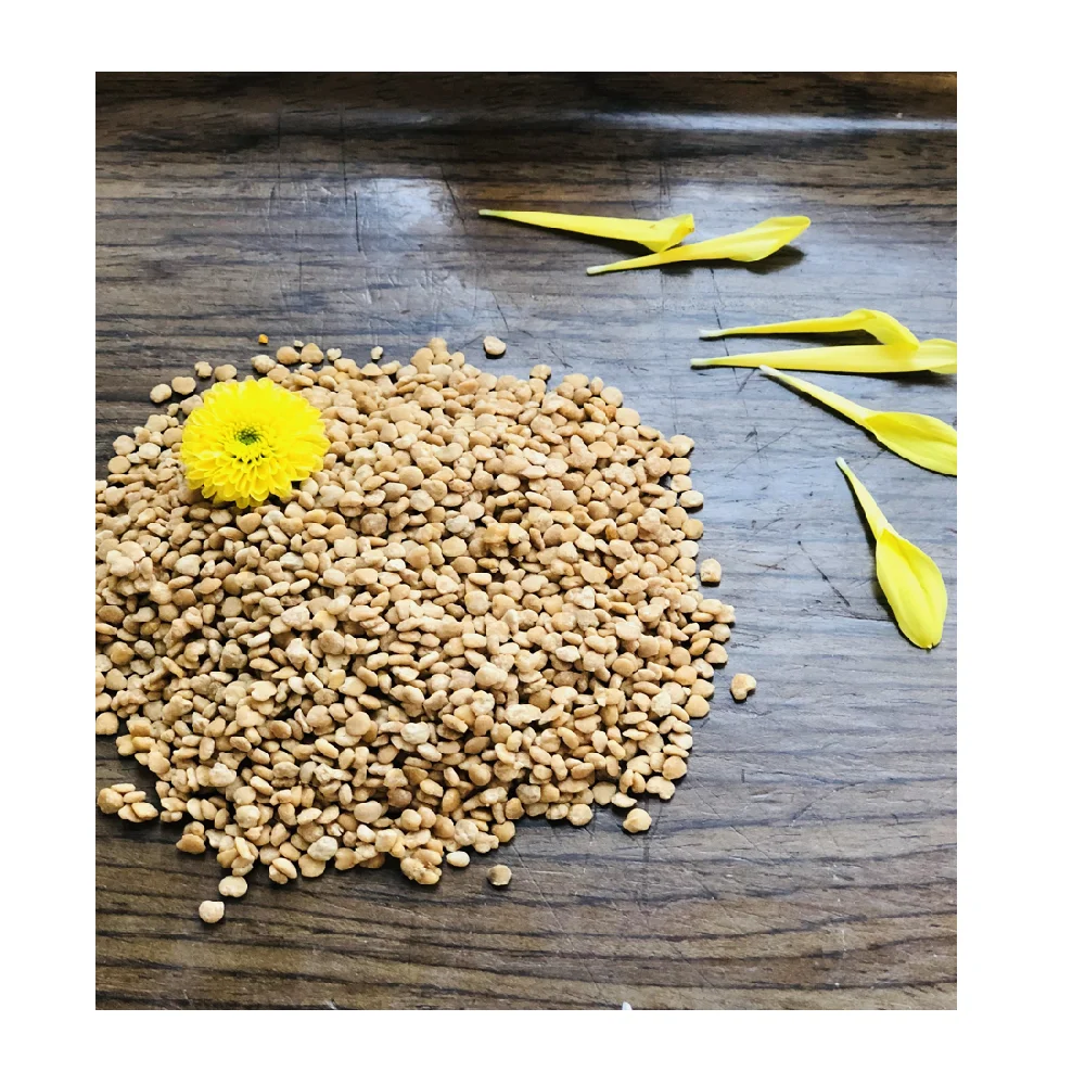 Hot In 2021!!! Bee Pollen Powder 100% Pure Natural Wholesale Made In Viet Nam
