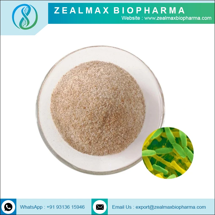 Wholesale Natural Probiotics Bacillus Subtilis Probiotic Powder - Zealmax Biopharma
