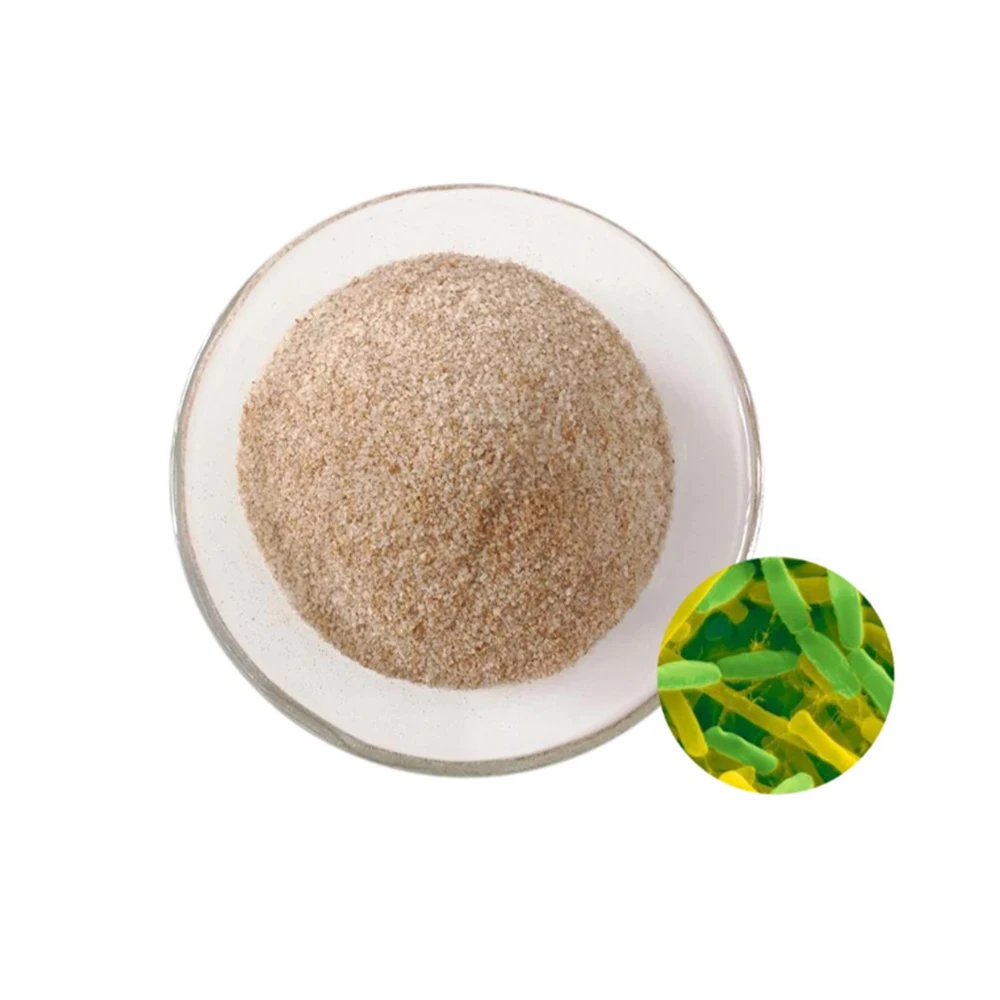 
Bacillus Subtilis Probiotic - Zealmax Biopharma 