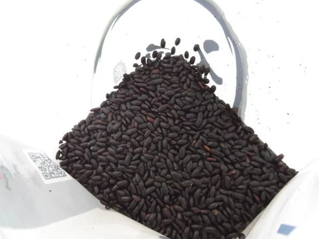 Вьетнамский клейкий рис лучшее качество хорошее предложение от бренда Vietnam Delta-Черная Клейкая рисовая мука (Ms Деми + 84 961 733 400)