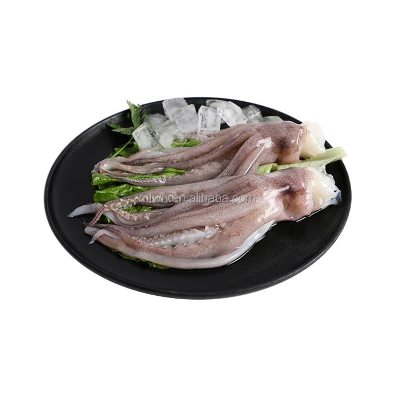 Amazing Whole Cleaned Squid Live Squid Frozen Todarodes Pacific Squid for Sale