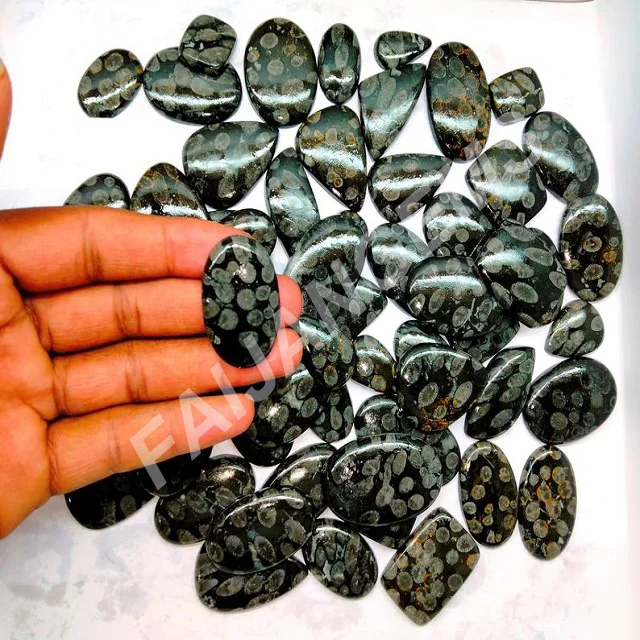 Натуральный черный ископаемый Коралл, кабошон, красивый черный ископаемый камень, качество AAA, черный ископаемый камень для изготовления ювелирных изделий