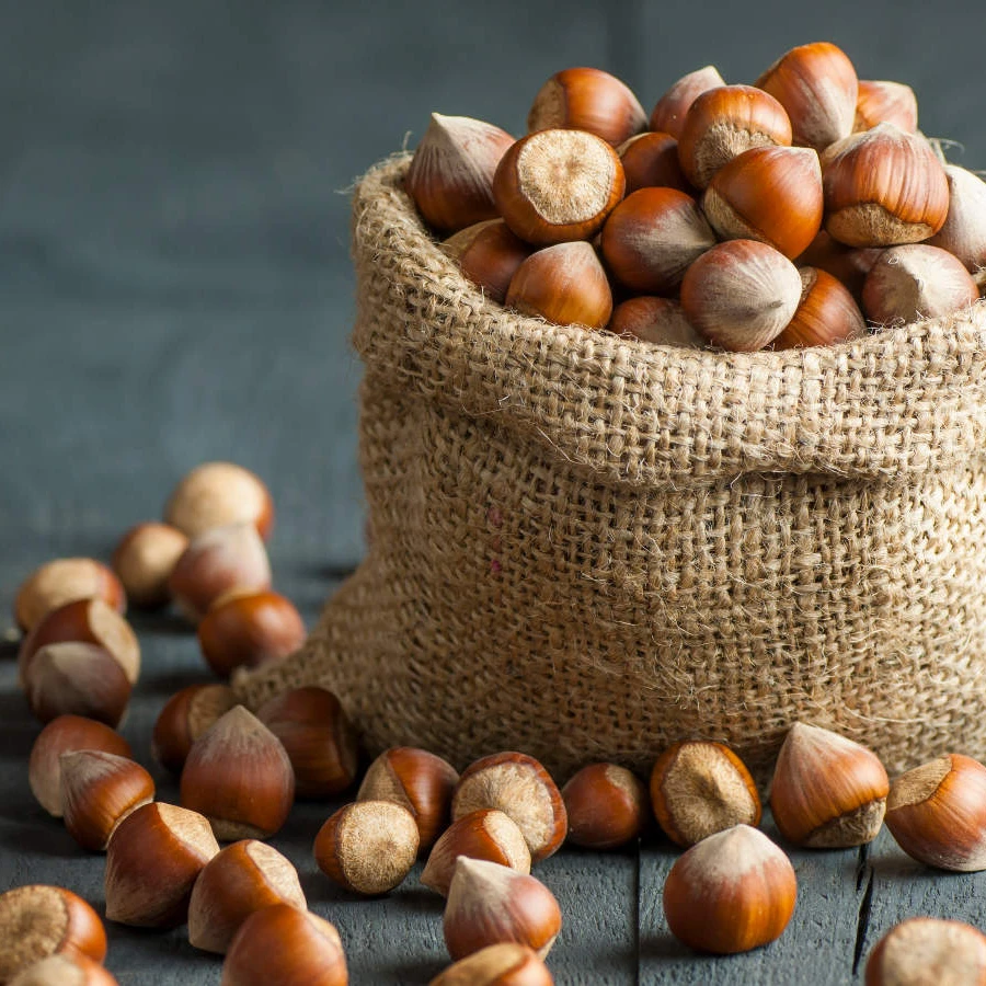 
Suppliers Roasted Hazelnut Cobnut Dry Hazelnuts for Sale Chinese Bag OEM Shell Box Style Packaging FOOD Organic Color Package 