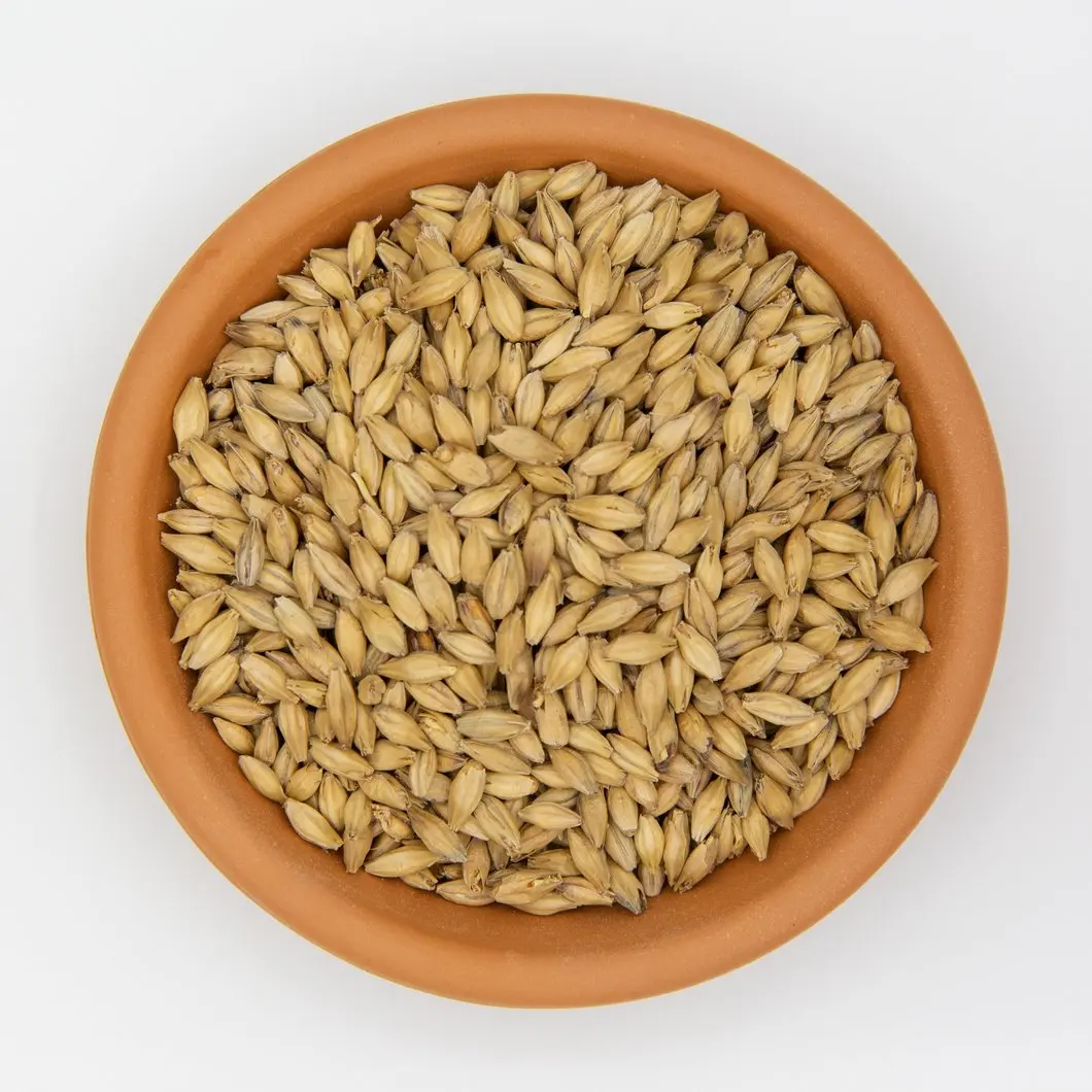 Barley Seeds/Animal feed barley/bulk barley grains for sale