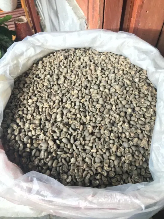 ARABICA GREEN BEAN COFFEE ACEH INDONESIA BEST QUALITY SPECIALTY FULL WASH DRY HULLER
