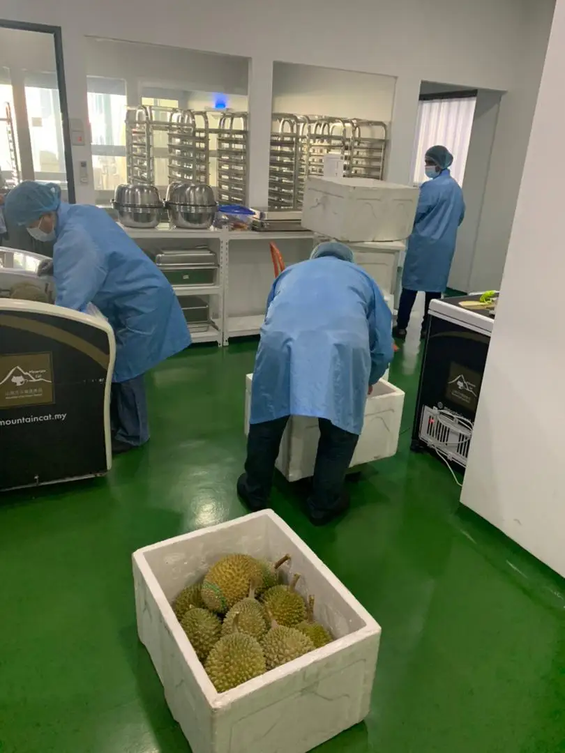 Замороженная дурийская целлюлоза Musang King из малайзии