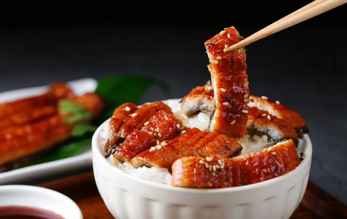 unagi eel Hidee seafood Frozen eel