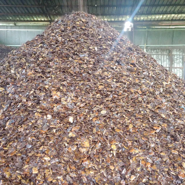 AGRICULTURAL WASTE CHEAP CASHEW HUSK FROM VIETNAM
