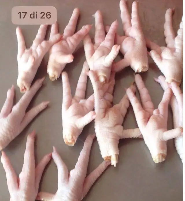 frozen quality quail chicken chicken paws frozen meat frozen chicken feet for sell package 10kg and 15kg cartons