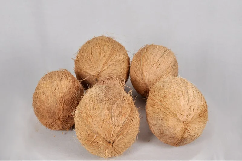 Полуочищенный кокос из Вьетнама (+ 84383234316)