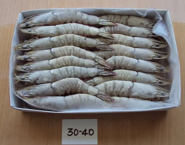 Лидер продаж гарантированное качество оптовая цена белая замороженная креветка HOSO