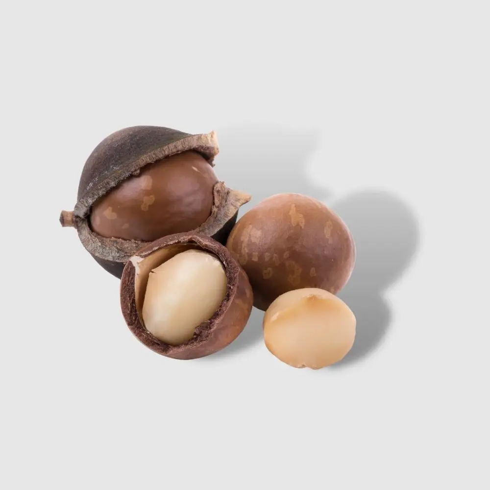 Лучший экспортер органические орехи и семена макадамии закуски оптом