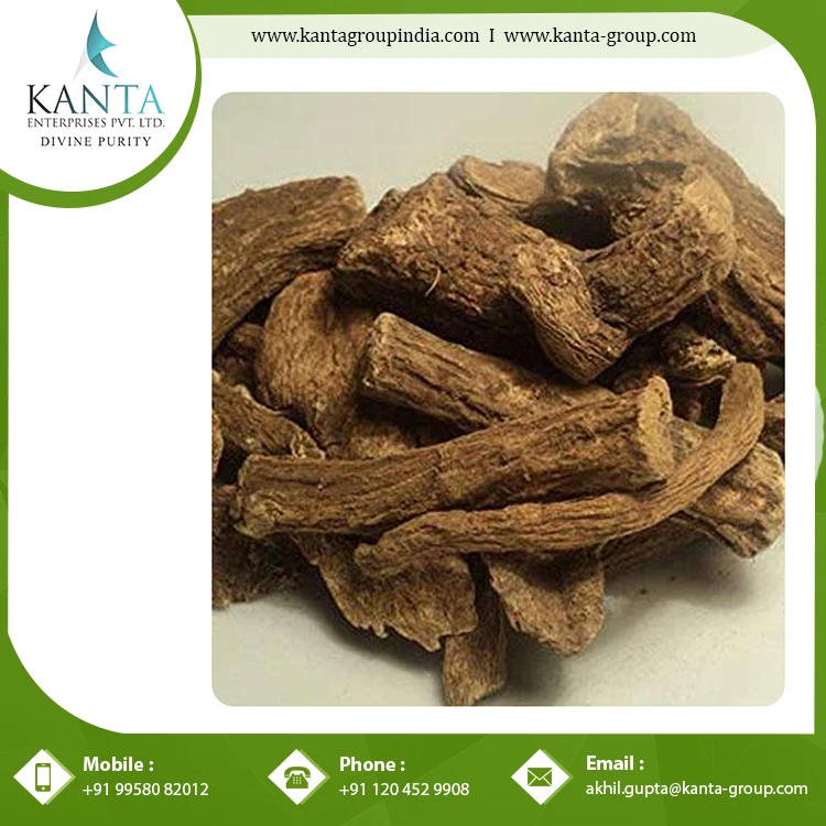 Best Costus Roots Essential Oil used as a Flavouring Component in Food and Beverages at Bulk Supplier Wholesale Price