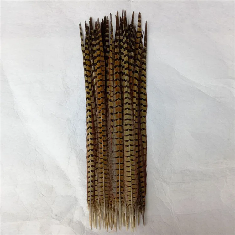 ringneck pheasant tail feathers top quality 45-120 cm bulk supplier natural ringneck pheasant tail feather
