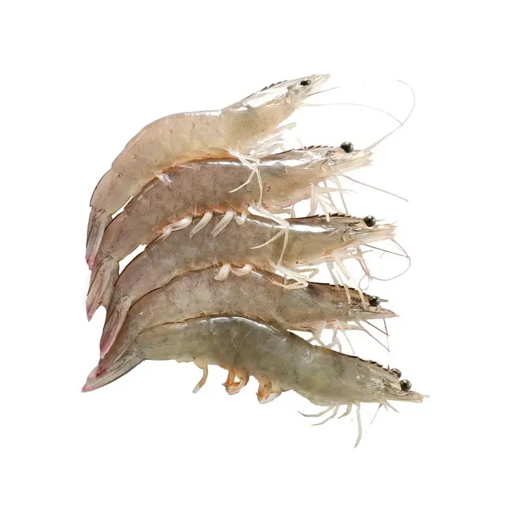 High Selling Fresh Frozen Whole Vannamei Shrimp White / Black Tiger Shrimp /prawn