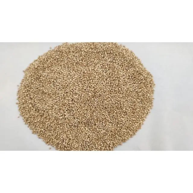  Цена экспортного качества Оптовая поставка белых сырых семян Quinoa высокий уровень