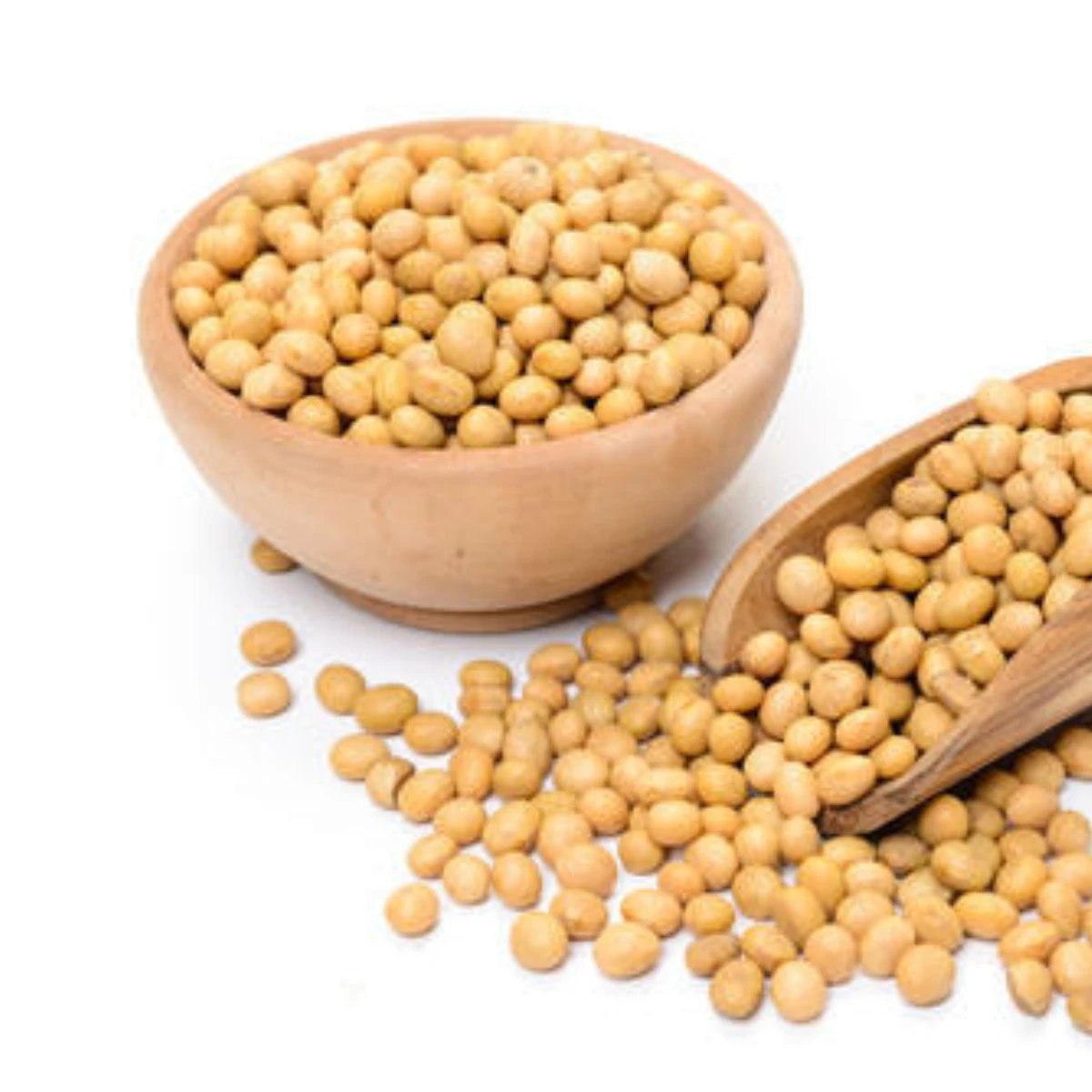2022 crop High protein yellow soybean soya beans / soy bean for sale