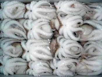 Frozen Octopus Baby Octopus Fresh Seafood