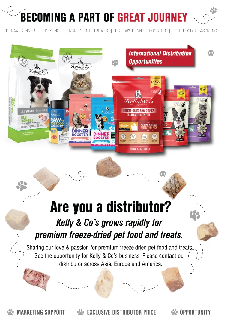 05_Product-Information-DBT