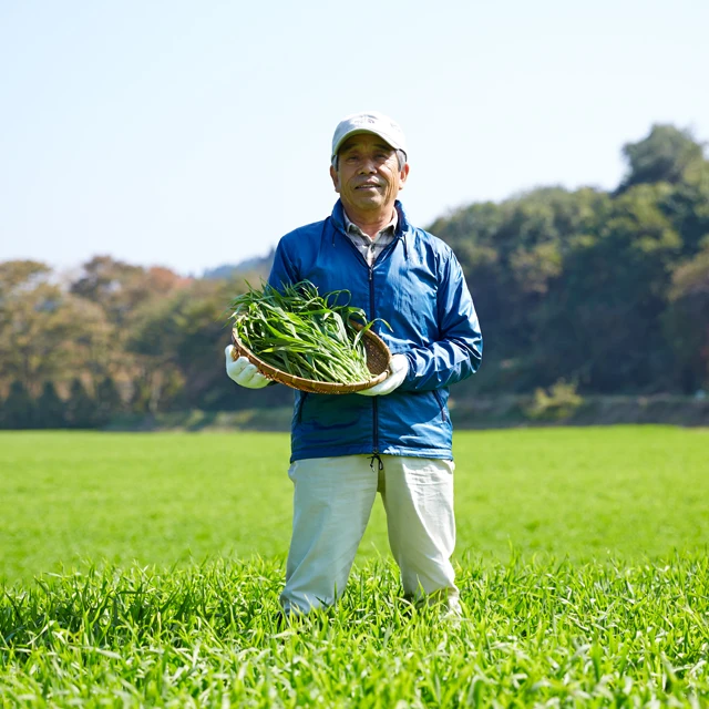 Young barley grass powder green juice aojiru