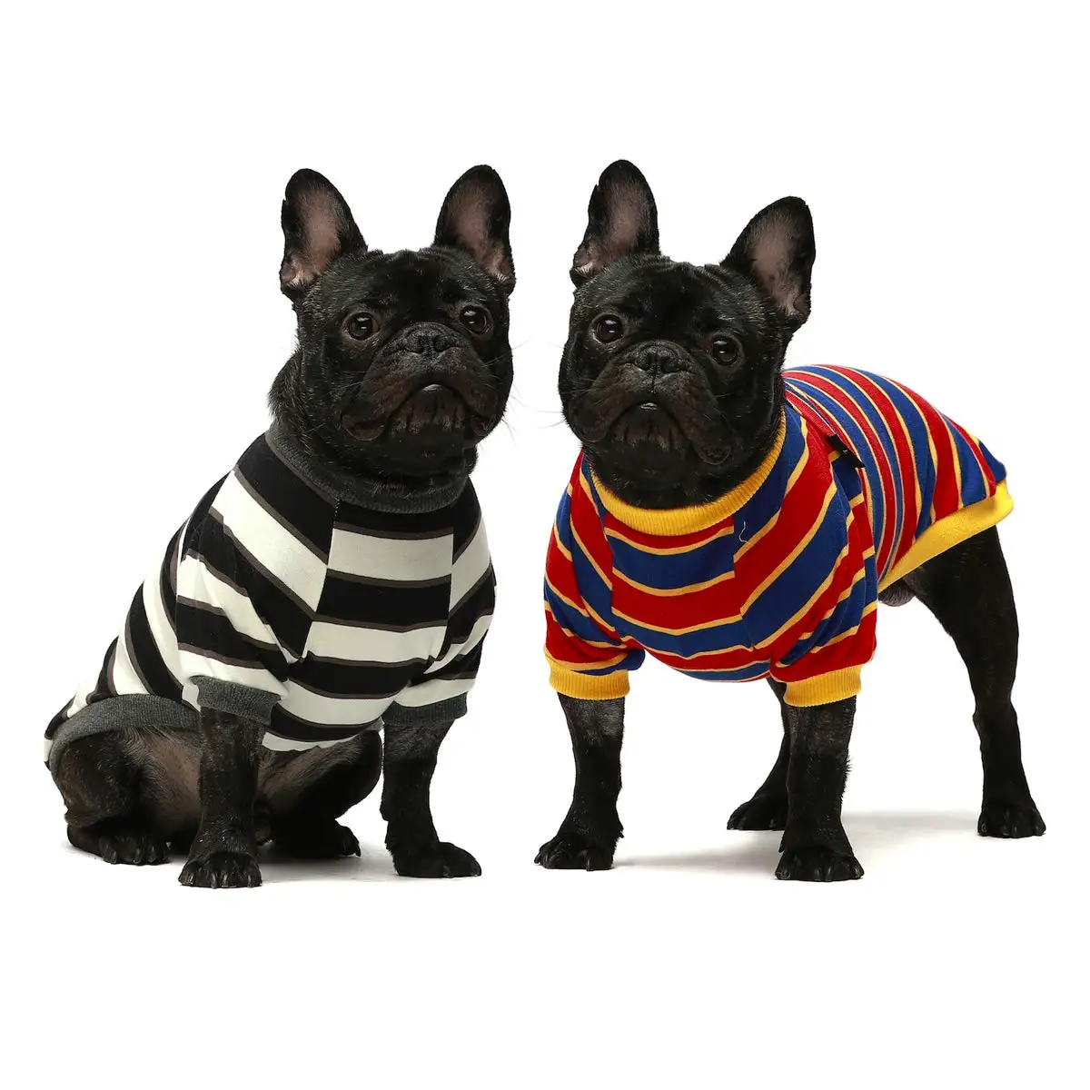 Designer Wholesale Custom Fashion Soft Fiber Fabric Winter big Dog Clothes