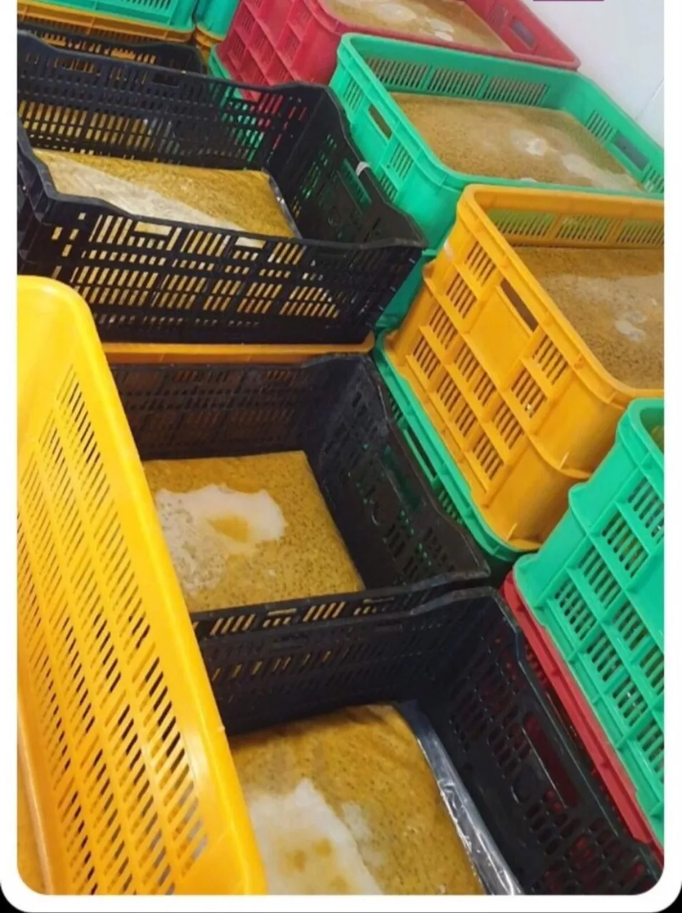 Vietnamese Frozen Passion Fruit juice is a tropical fruit rich in nutrients, processed into a drink to help purify the body.