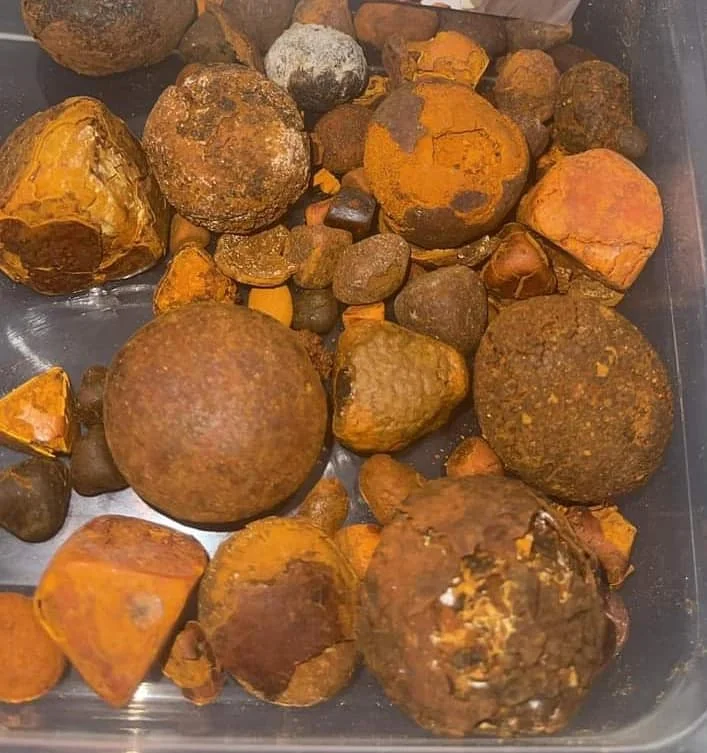REAL  COW GALLSTONES FOR SALE