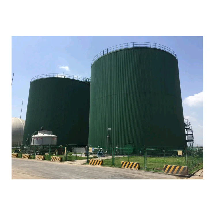 Завершенная разработка и строительство биогазовой установки/производитель проекта