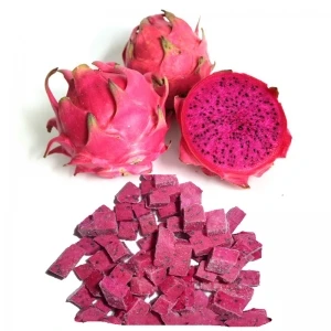 IQF FROZEN FLESH RED and WHITE DRAGON FRUIT HIGH QUALITY FROM VIETNAM/MS LAURA