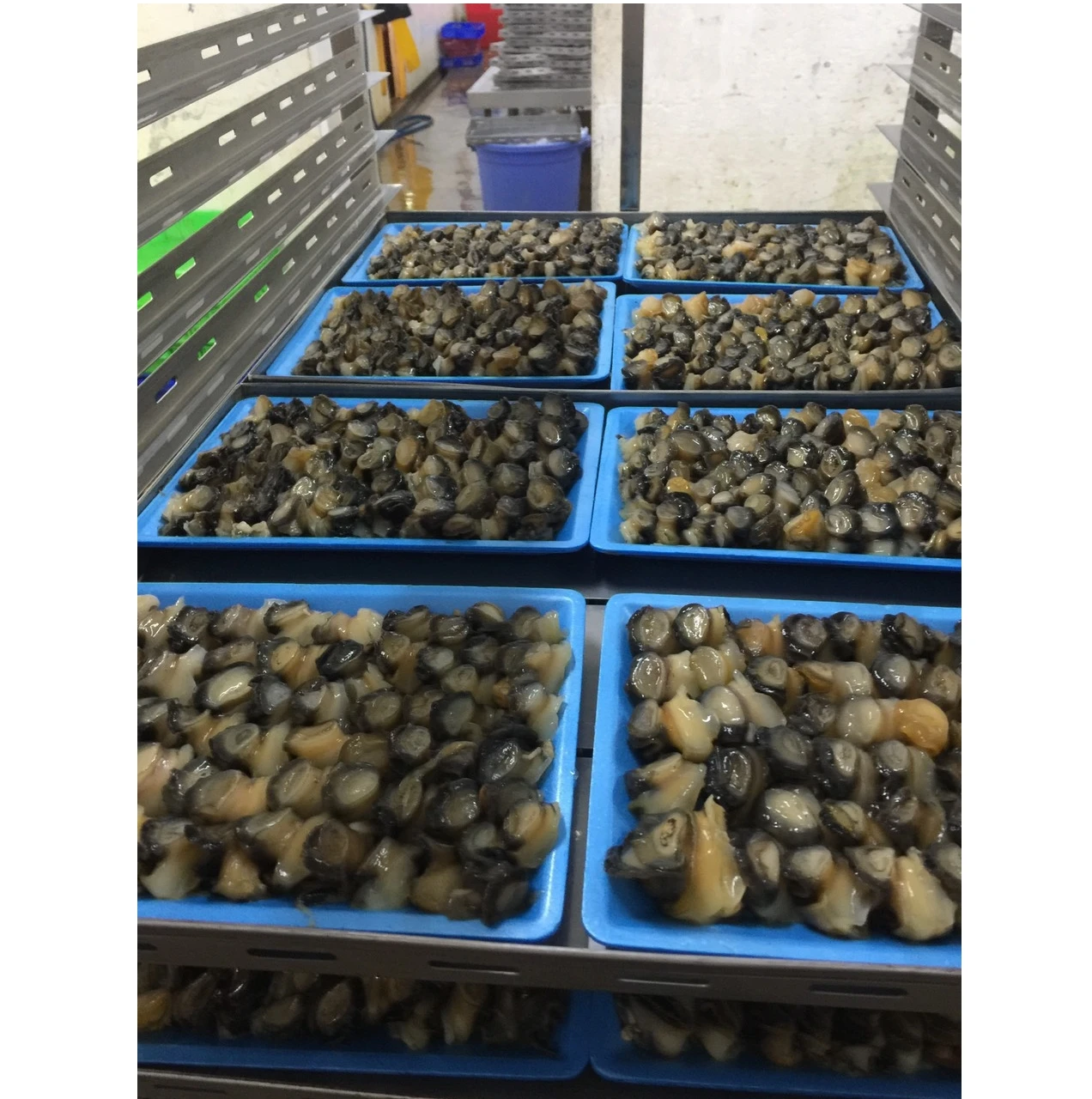 Яблоко Улитка Золотая Улитка замороженное/свежее замороженное яблоко Улитка мясо по лучшей цене из Вьетнама