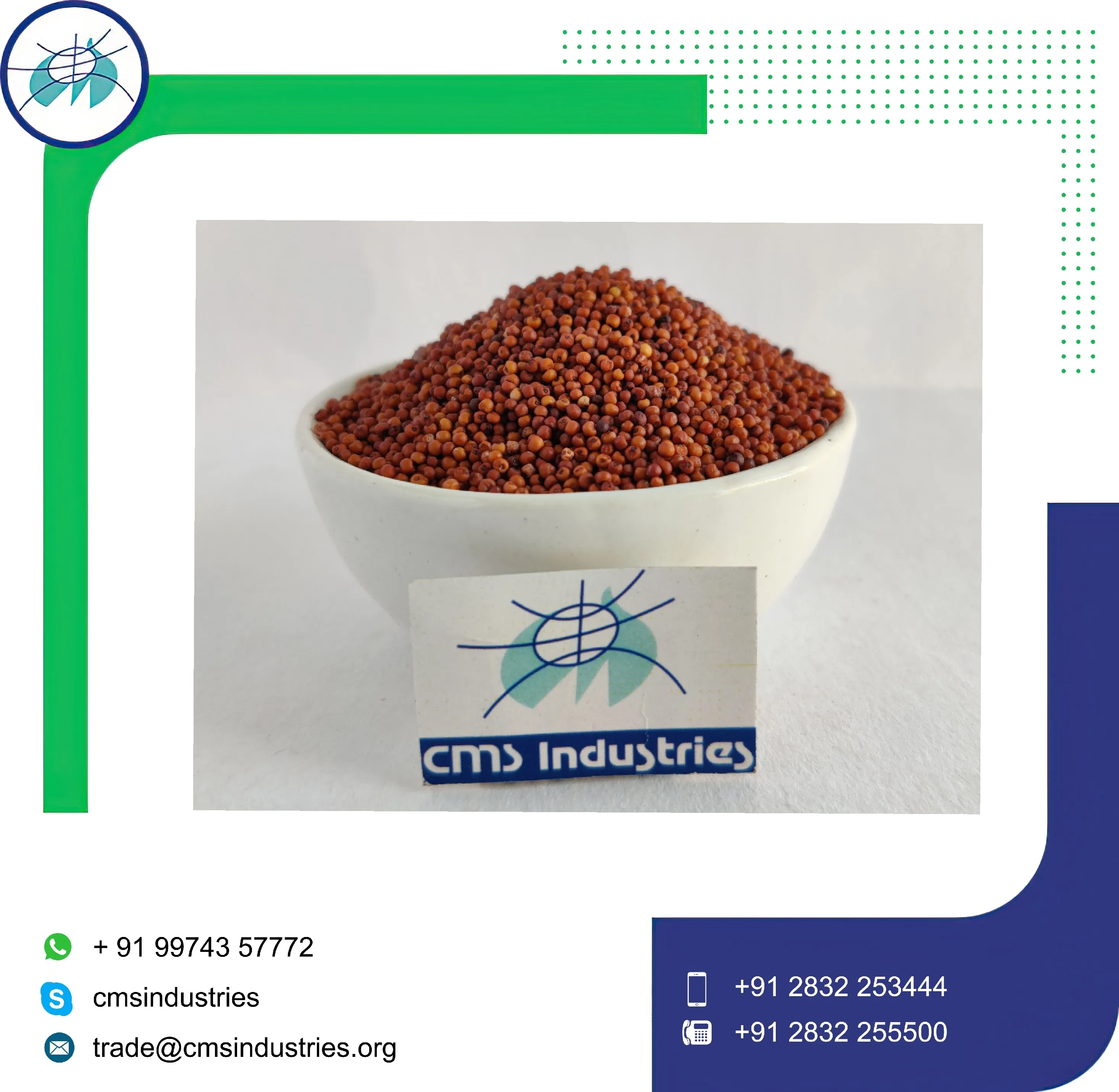 Ragi Seeds at Bulk Price