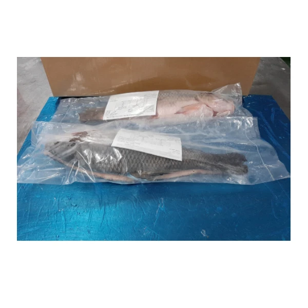 Wholesale Whole Frozen Rohu Fish Price for Sale