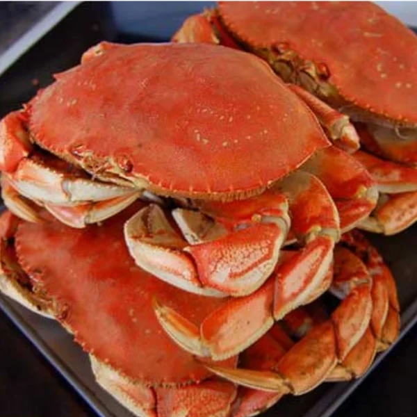 Frozen and Live Crabs / Blue Swimming Crabs  / Live Mud Crab Whole Round