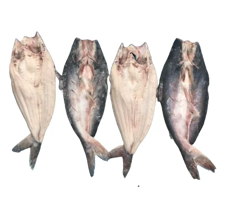 Supplier Of Frozen fish Pangasius Butterfly/ Basa butterfly  Made in VietNam