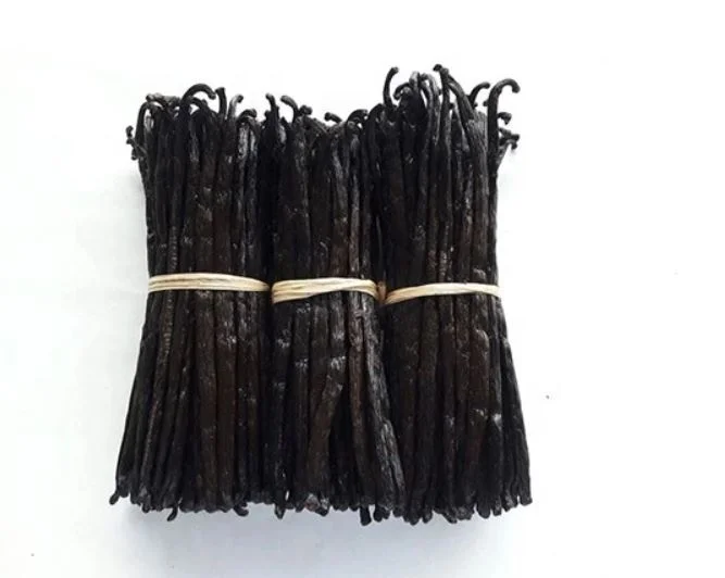 GOURMET BLACK VANILLA | VANILLA BEANS