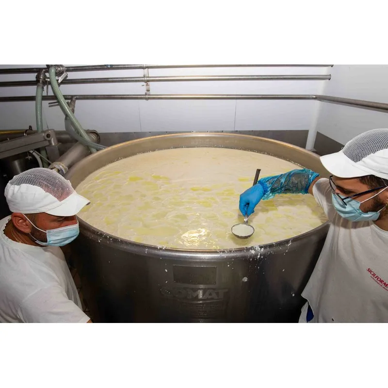 High Quality Italian PRIMOSALE FOUR SEASONS cheese 0.2kg for export
