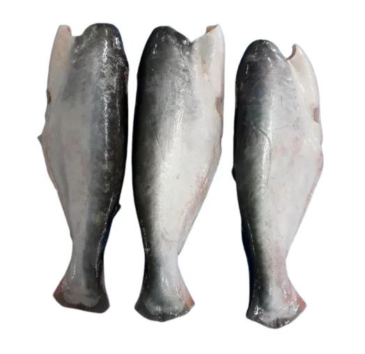 TOP QUALITY Pangasius HGT/Basa fish/Pangasius Hypophthalmus fresh and tasty