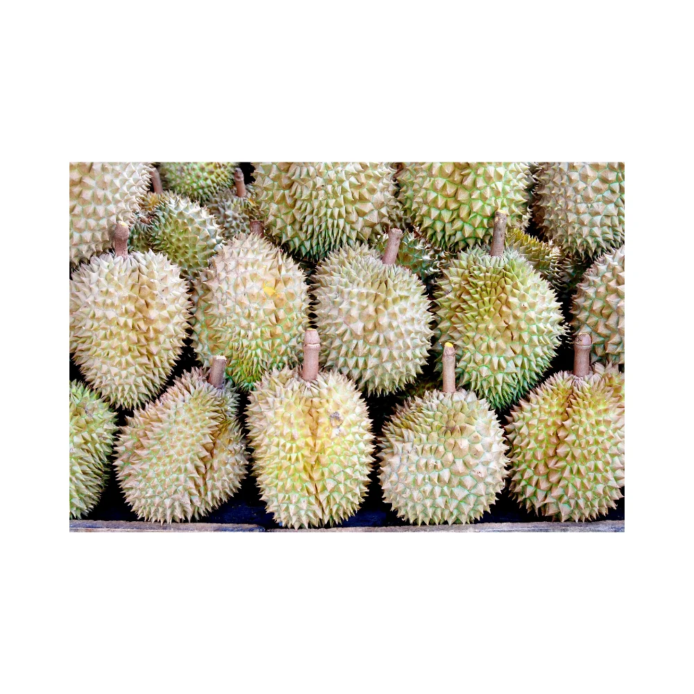  Свежий дуриан для Китая