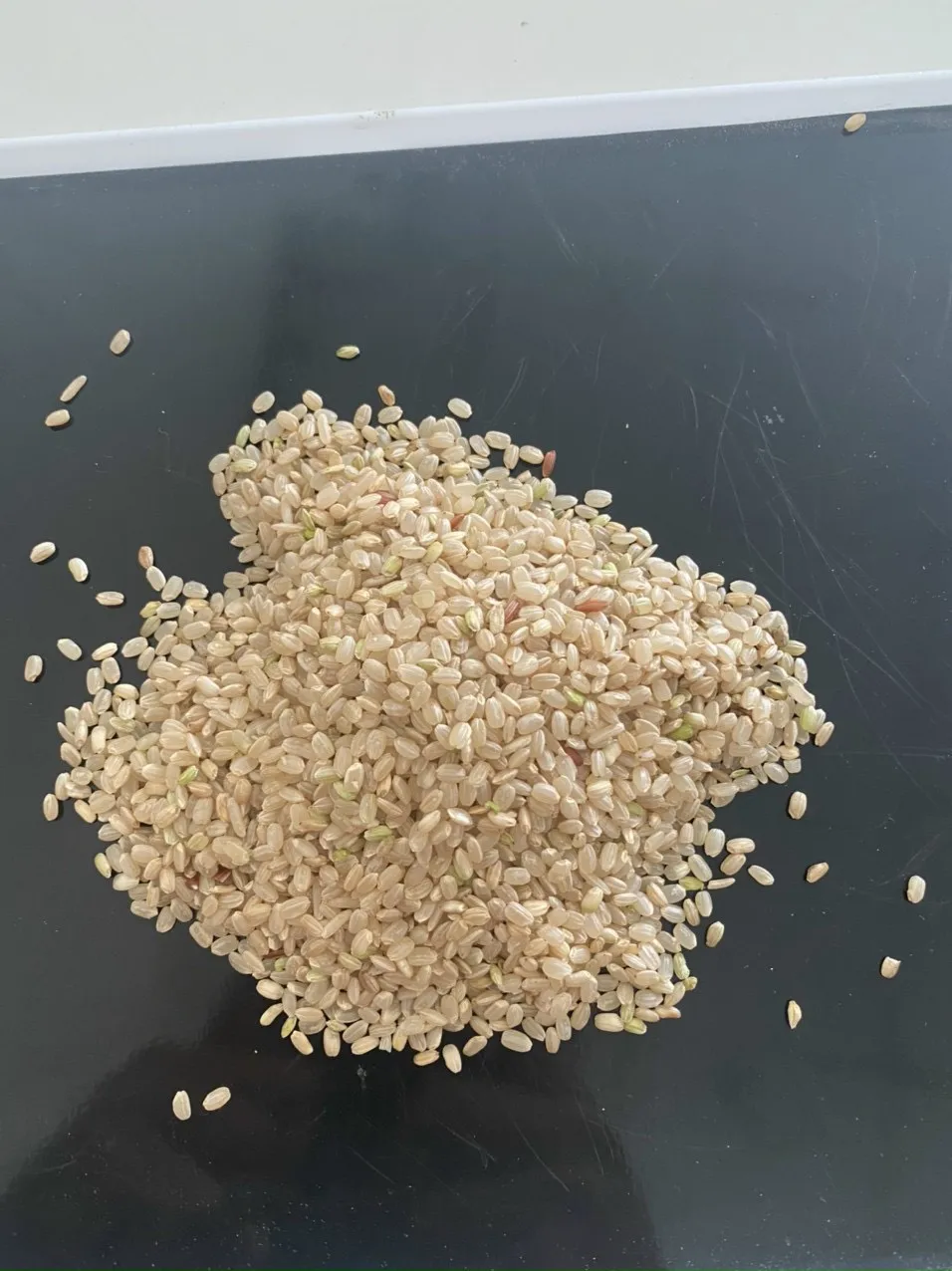 JAPONICA BROWN RICE 5% BROKEN DRIED STYLE SHORT GRAIN RICE FROM VIET NAM