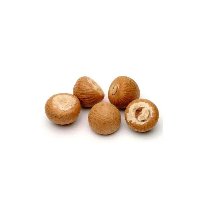  Особая продукция betel nut по конкурентоспособной