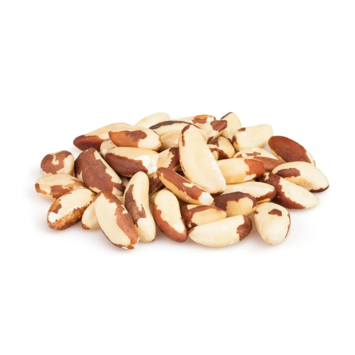 100% Pure Natural High Quality Brazil Nuts Wholesale Agricultural Brazil Nuts