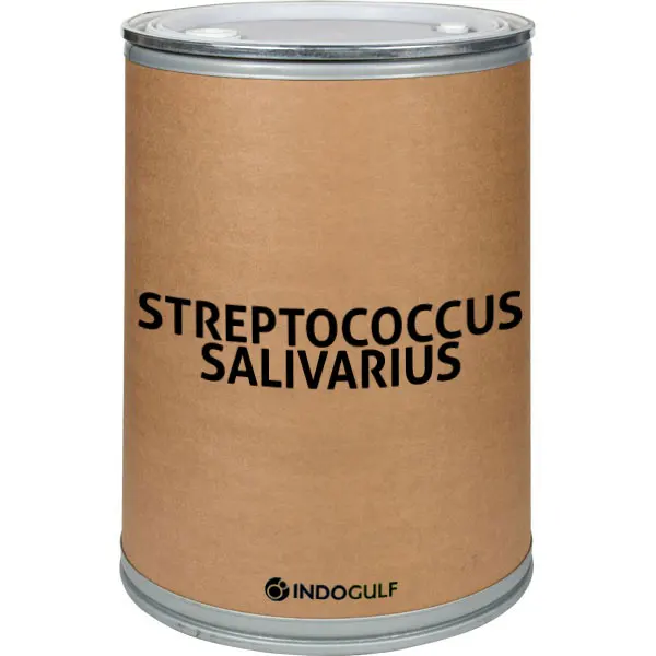 Best Probiotics Streptococcus Salivarius