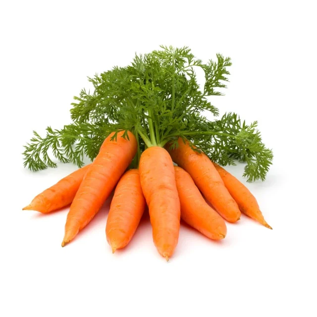 Organic Fresh Carrot