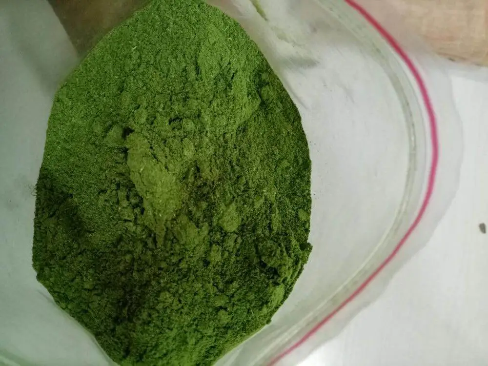 MORINGA LEAF POWDER