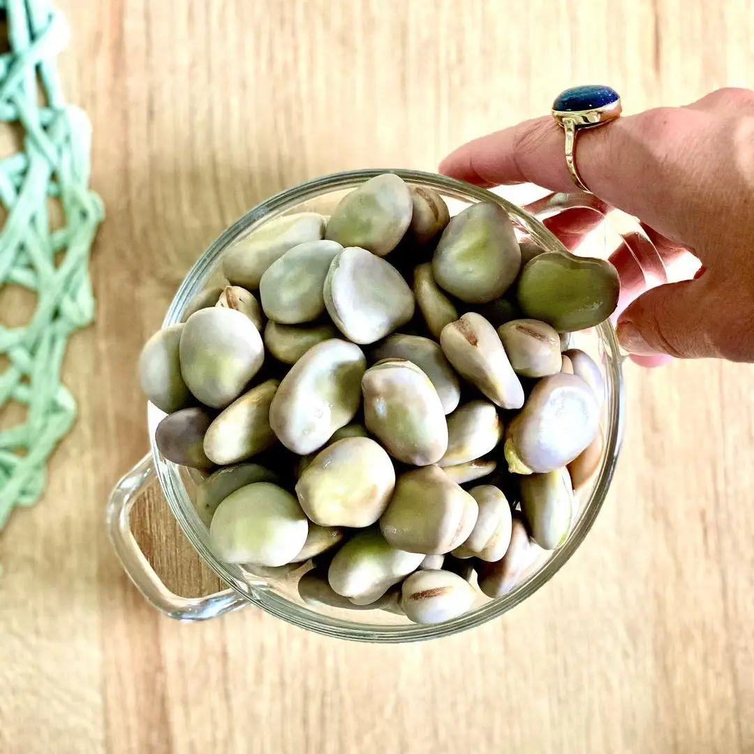 Whole Raw Frozen Split Broad Beans
