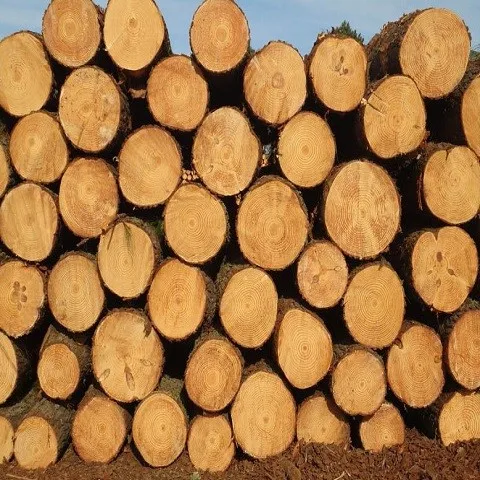 Teak Wood - Round Logs- Swan Timber Logs for sale .