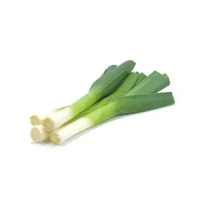 Обычные свежие овощи, пружинный лук